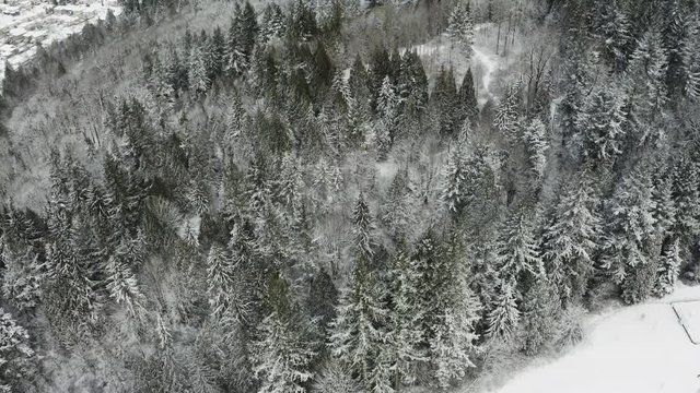 Burke Mountain Coquitlam - Arial Shot