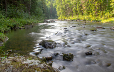shallow picturesque rocky fast river flows in the taiga