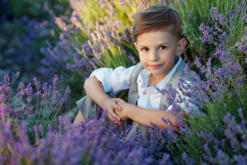 Little boy in a field with flowers. 