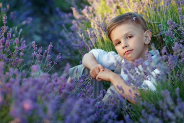 Little boy in a field with flowers. 
