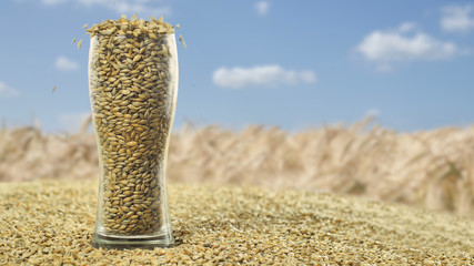 Close-up Beer Glass replenished with grains Barley Malt and toasted Wheat to make dark and light beer. concept of nature and creation of natural products such as beer and fresh hops.Oktoberfest