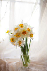 Still life with spring flowers on   light background.
