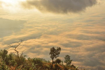 Phu Chi Fa