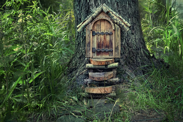 fairytale forest house. Little wooden fairy door in tree trunk. tree house in woodland setting, pixie or elf home. rustic wooden door built into foot of tree trunk in woods. soft selective focus