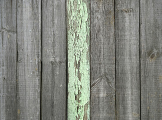gray-green color wooden board. grunge rough painted wooden panels fence. wooden board old style abstract background. beautiful template for design. close up. soft selective focus