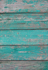 Fototapeta na wymiar gray-green mint color wooden board. turquoise grunge rough painted wooden panels fence. wooden board green old style abstract background. template for design.