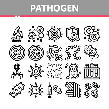 Collection Pathogen Elements Vector Sign Icons Set. Pathogen Bacteria Microorganism, Microbes And Germs Linear Pictograms. Analysis In Flask, Microscope And Injection Black Contour Illustrations