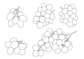 Line durian fruit on white background  illustration vector 