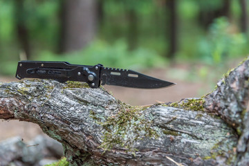 Black Metal Switchblade on a Tree Branch in a Forest