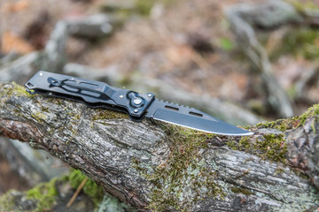 Black Metal Switchblade on a Tree Branch in a Forest