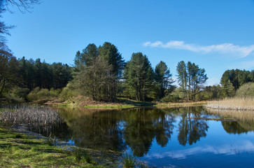 The View from one of the many Hides at the Nature Reserve at Morton Lochs in Fife, near Newport on Tay.