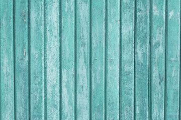 Fototapeta na wymiar Turquoise wooden fence background. Vertical old wood planks, light green shabby surface. Oak timber wall texture. Copy space. Vintage boards.