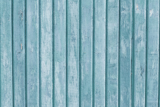 Narrow wooden planks. Gray and light blue wood vertical boards. Weathered colored old fence. Rough texture. Striped wooden backgrounds. Natural backdrop.