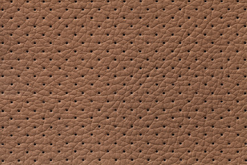 Perforated brown leather texture background, closeup. Bronze backdrop from wrinkle skin.