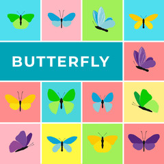 Colorful banner of butterflies. Set of spring and summer butterfly icons, text Butterfly. Background for promotional posters, advertising flyers, booklet, discount banners, sale. Vector Illustration.
