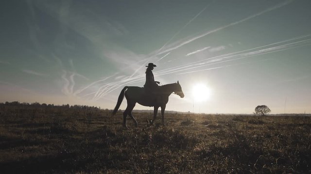 Silhouette of cowgirl at horse at sunset field in slow motion. Beautiful woman riding horse outdoors. Wide angle