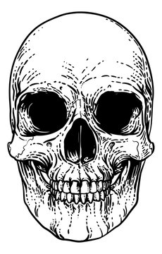 A skull graphic. Original illustration in a vintage engraving woodcut etching style.