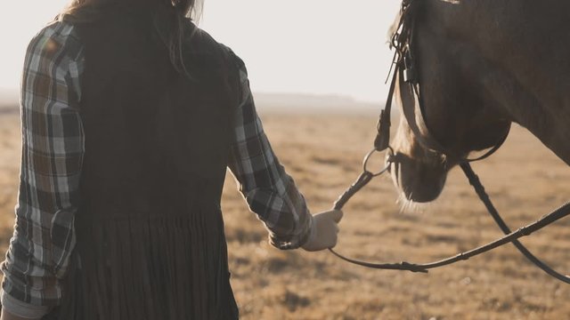 Young girl taking on walk her dark horse by reins on sunrise. Beautiful mighty horse walking and gazing on meadow field at sunny morning in slow motion. Close-up view. Tracking camera
