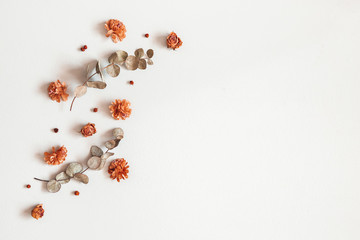 Autumn composition. Frame made of dried flowers, eucalyptus leaves, berries on gray background....