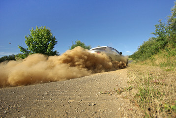 racing sport car sliding  in dust © sablin