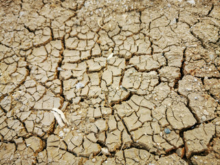 drought cracked soil dirt