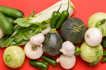 Assortment of fresh vegetables on color background