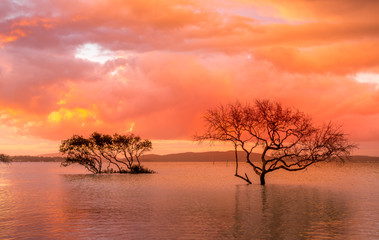 Fototapeta na wymiar Sunset and storm clouds over mangroves