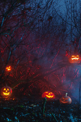 Halloween pumpkins in night forest