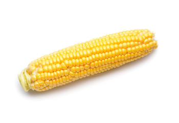 Fresh corn cob on white background