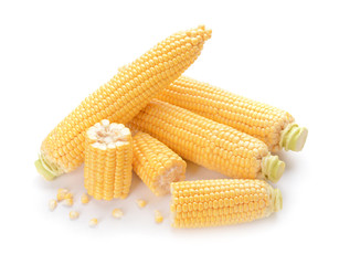 Fresh corn cobs on white background