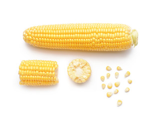 Fresh corn cobs on white background