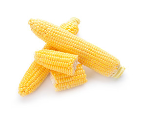 Fresh corn cobs on white background