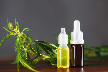 Hemp plant herbal pharmaceutical CBD oil from jar. CBD oil bottles cannabis extract tincture liquid on wooden table. Medical marijuana concept