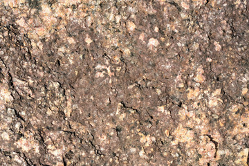 Stone texture on the seashore close up. Natural abstract ackground