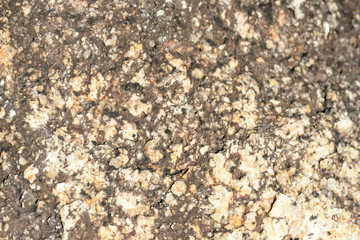 Stone texture on the seashore close up. Natural abstract ackground