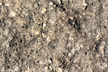 Stone texture on the seashore close up. Natural abstract ackground