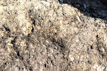 Stone texture on the seashore close up. Natural abstract ackground