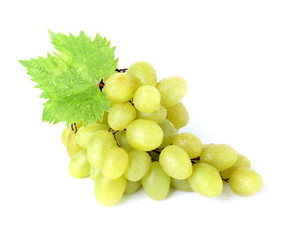 Tasty fresh grapes on white background