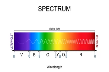 Foto op Aluminium Visible spectrum color. infographic of sunlight color © designua