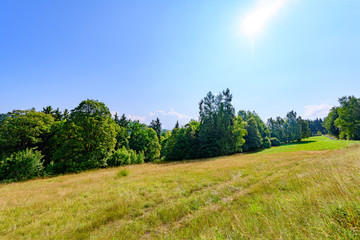 Waldlandschaft in Sachsen, Voigtland