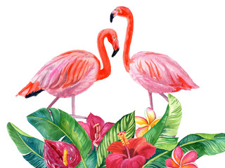 Fototapeta na wymiar Watercolor illustration of beautiful flamingo among tropical leaves isolated on white background