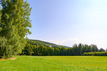 Fototapeta premium Waldlandschaft in Sachsen, Voigtland