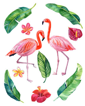 watercolor illustration of beautiful pink flamingos with tropical flowers and leaves isolated on white background © ElenaDoroshArt