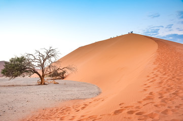 Fototapeta na wymiar Tourist walking up a dune in Namibia