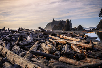 Driftwood Piles at Ruby Beach