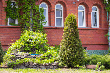 Flowerbed with green plants near the house of red brick