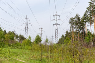 Overhead power lines among of the spring forest
