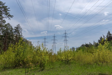 Overhead power lines among of the spring forest
