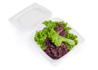 Top view of red and green lettuce leaves in container