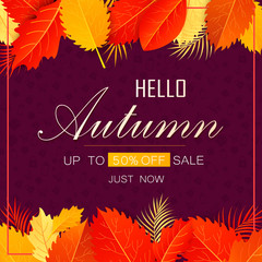 Autumn sale background layout decorate with leaves for shopping sale or promo poster and frame leaflet or web banner.Vector illustration template. Vector illustration EPS 10